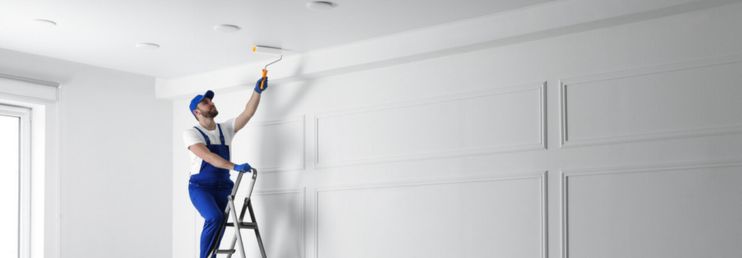 A Professional Painter Painting Ceiling