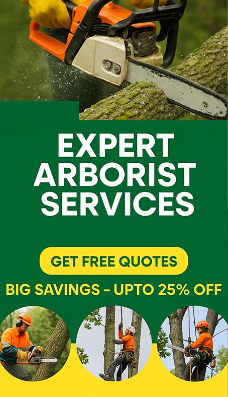 Hiring Arborist in Australia