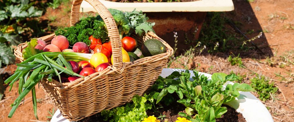 Fruits and Vegetables To Grow in Spring