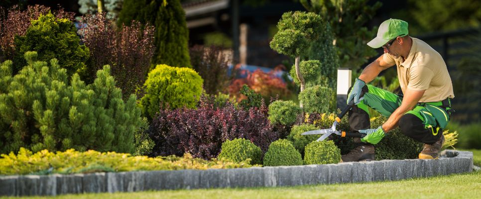 Low-Maintenance Plants for Easy Gardening