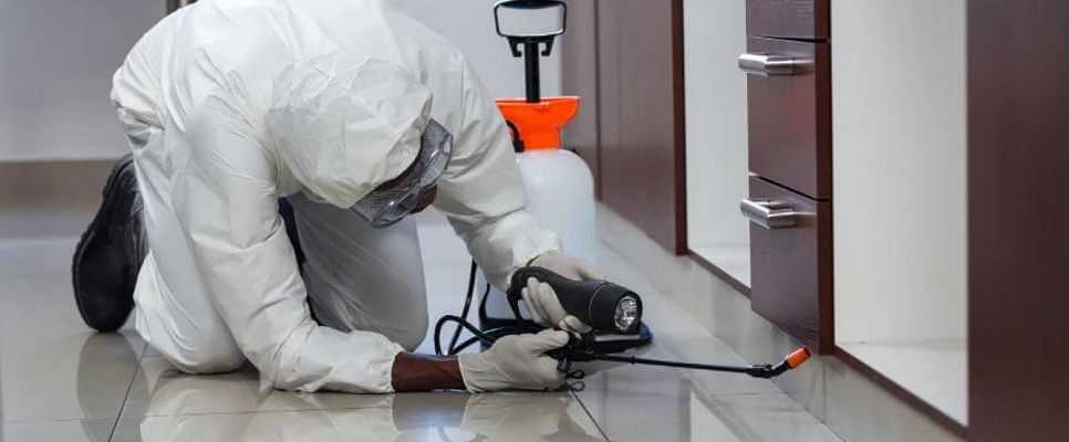 Pest Control Methods