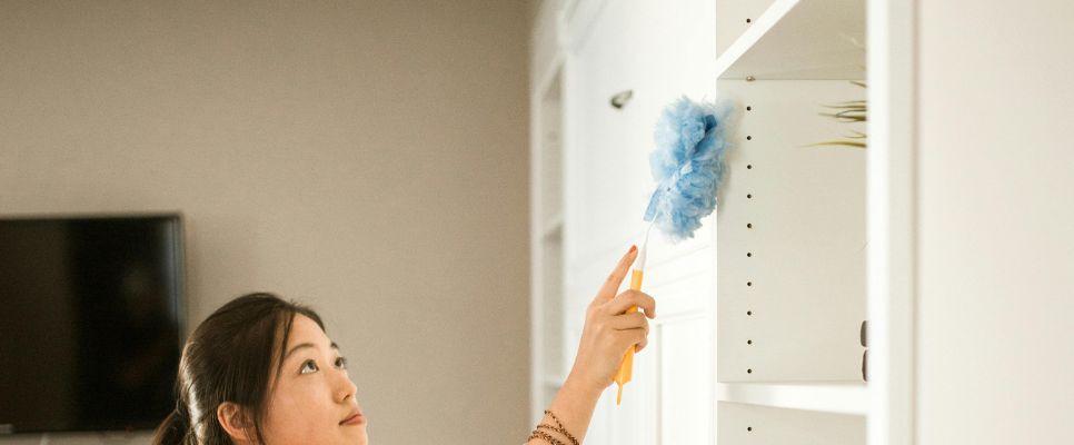 Understanding Dust