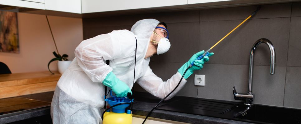 Using Natural Pest Control
