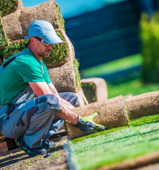 Choosing the Right Landscaper