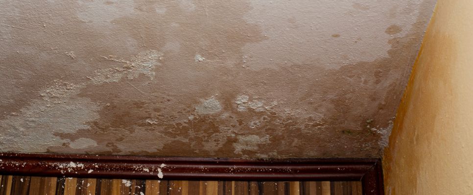 Damp Proofing Cost By Method