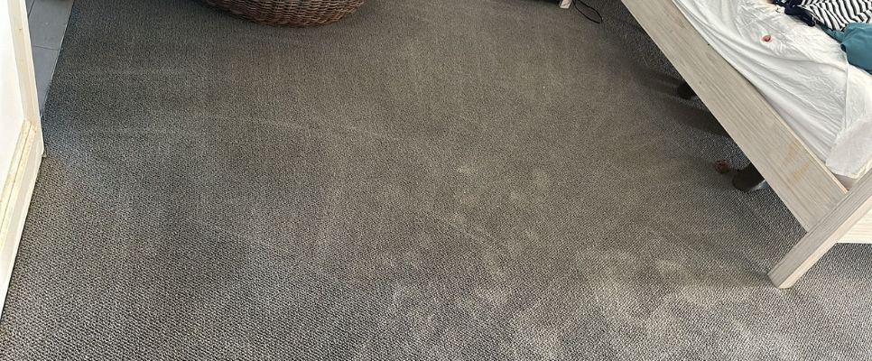 Factors Affecting Carpet Cleaning Costs