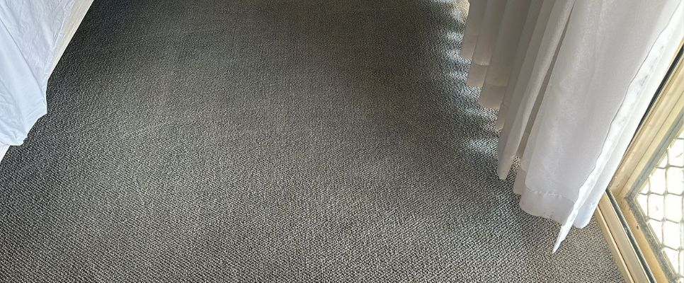 Professional Carpet Cleaning