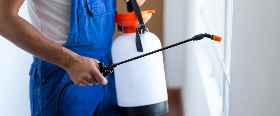Save Money on Outdoor Pest Control