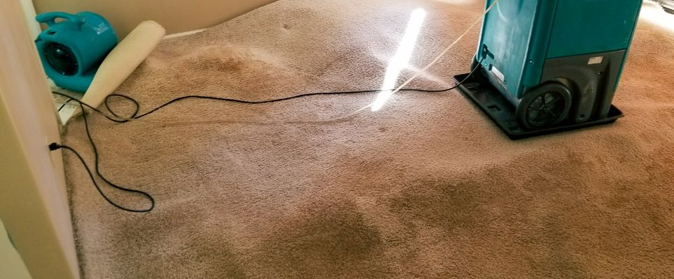 Water Damage Restoration Costs