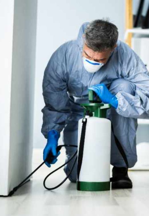Estimated Cost of Pest Inspection Services