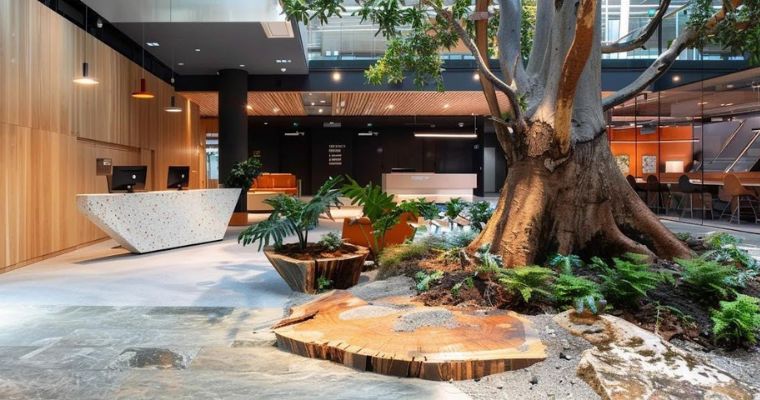 Stump Grinding in Melbourne