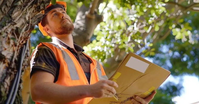 Tree Removal Process in Melbourne
