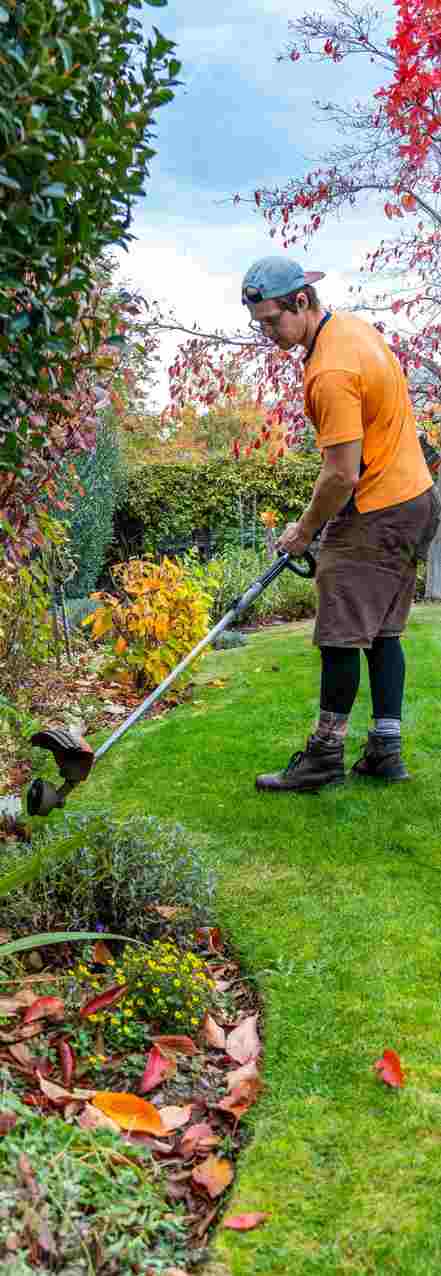 Hiring A Perfect Gardener In Your Area