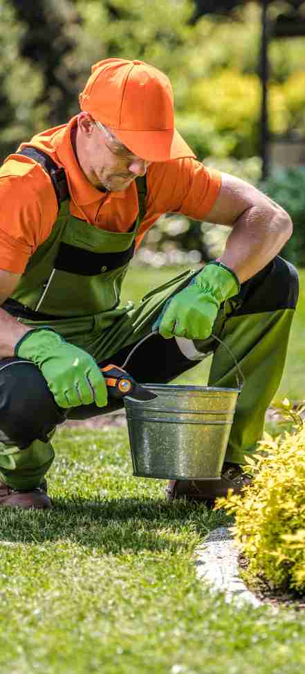 Price Of Landscaping Services