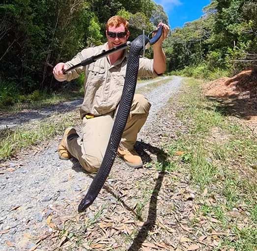 Professional Snake Removal