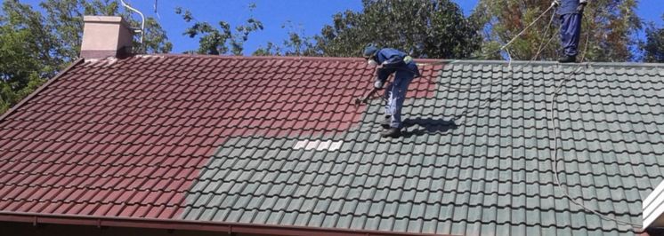 Professionals Painting Roof