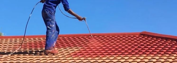Professional on top of a roof painting