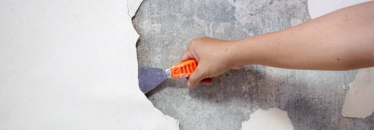 Smoothly Removing Old Paint from Walls