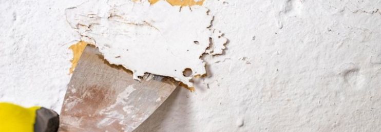 Stripping Old Paint from Walls By a Professional