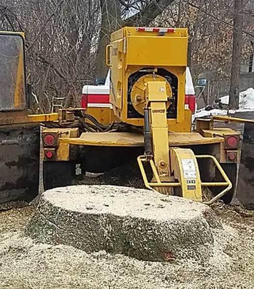 Stump Removal Situations