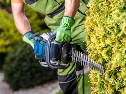 Top-Rated Gardening Experts