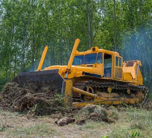 What Is Best For Clearing Land