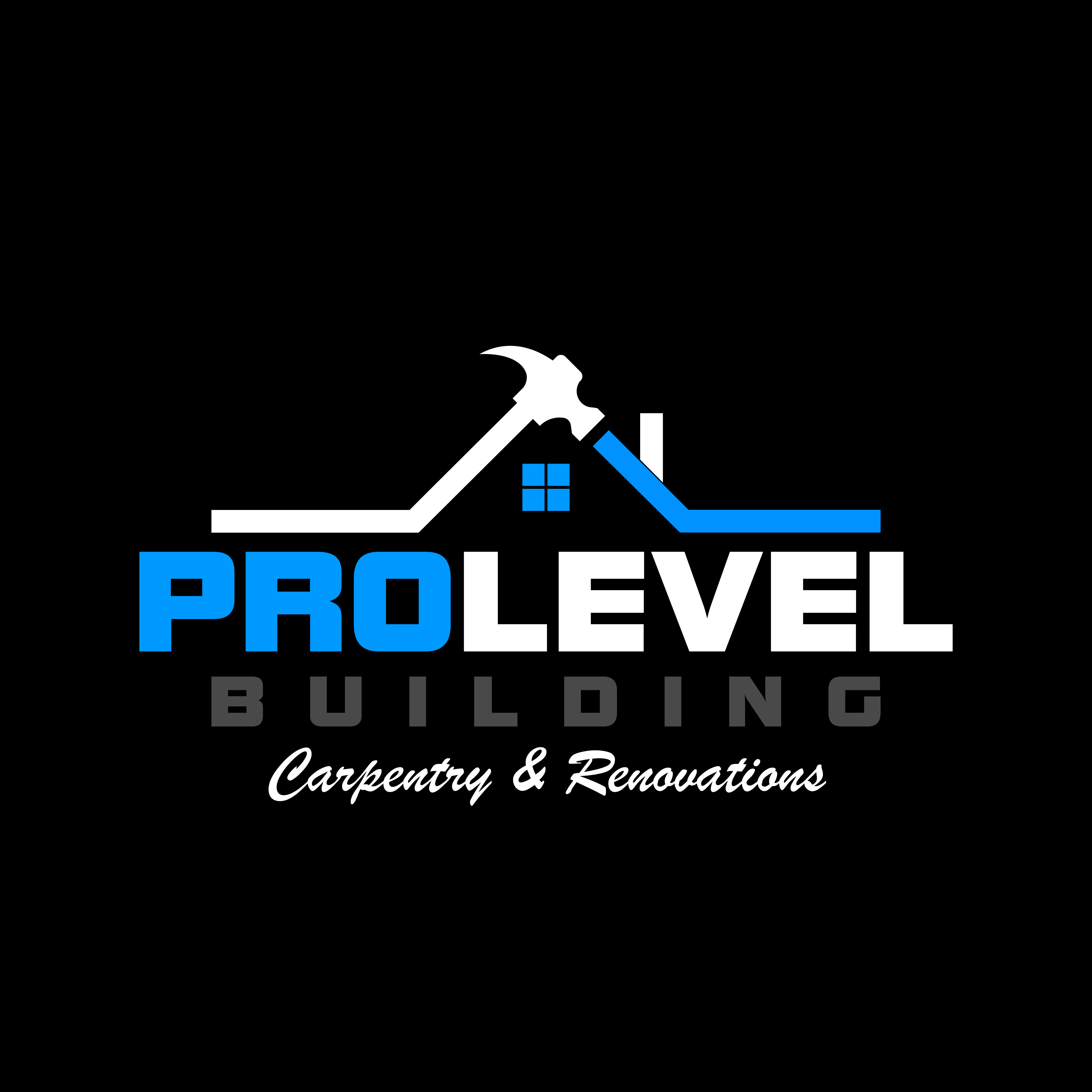 Pro Level Building
