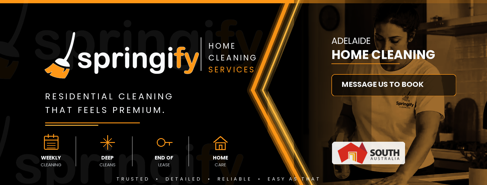 Springify Cleaning