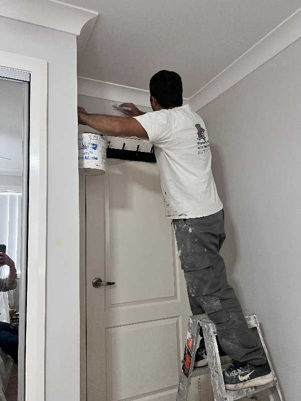 Sali Painting