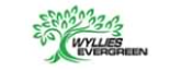 Wyllies Evergreen