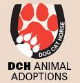 DCH Animal Adoptions Inc