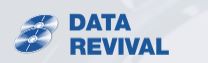 Data Revival