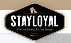 Stay Loyal