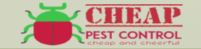 Cheap Pest Control