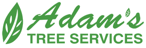 Adam's Tree Services