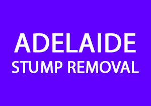 Adelaide Stump Removal