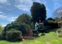 R&c Tree Services And Excavator Hire