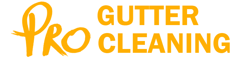 Pro Gutter Cleaning Melbourne