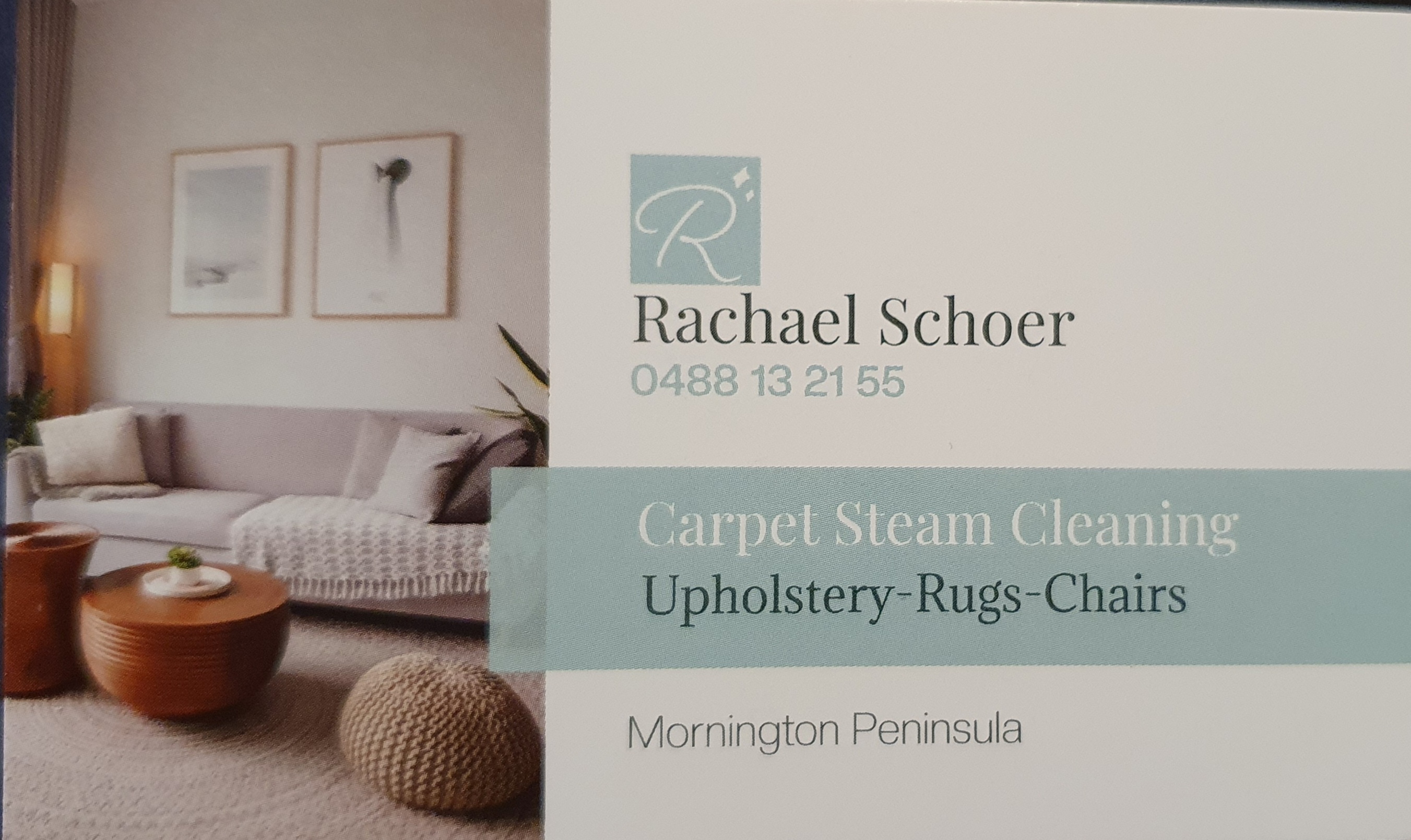 Carpet Steam Cleaning The Cleaner Biz Carpet, Upholstery, Rug Cleaning