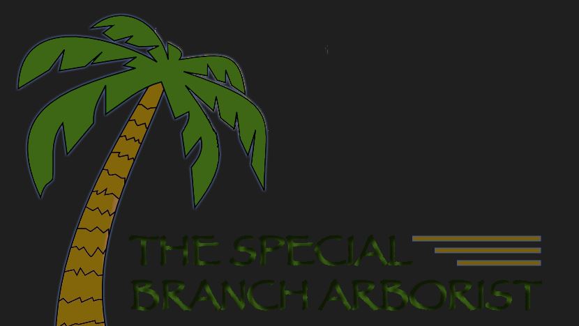 The Special Branch Arborist