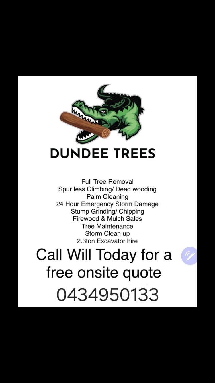 Dundee Trees