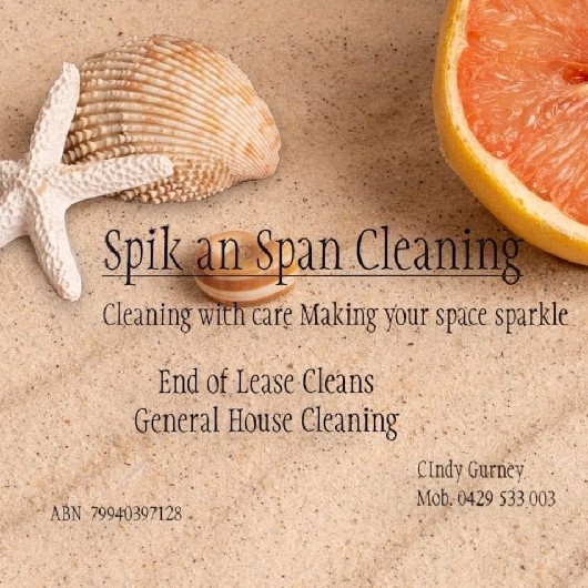 Spik An Span Cleaning