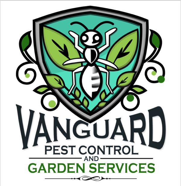 Vanguardecosolutions Pty Ltd