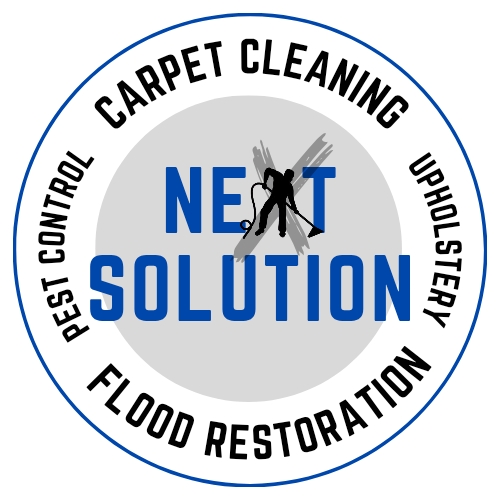 Next Solution Carpet Cleaning