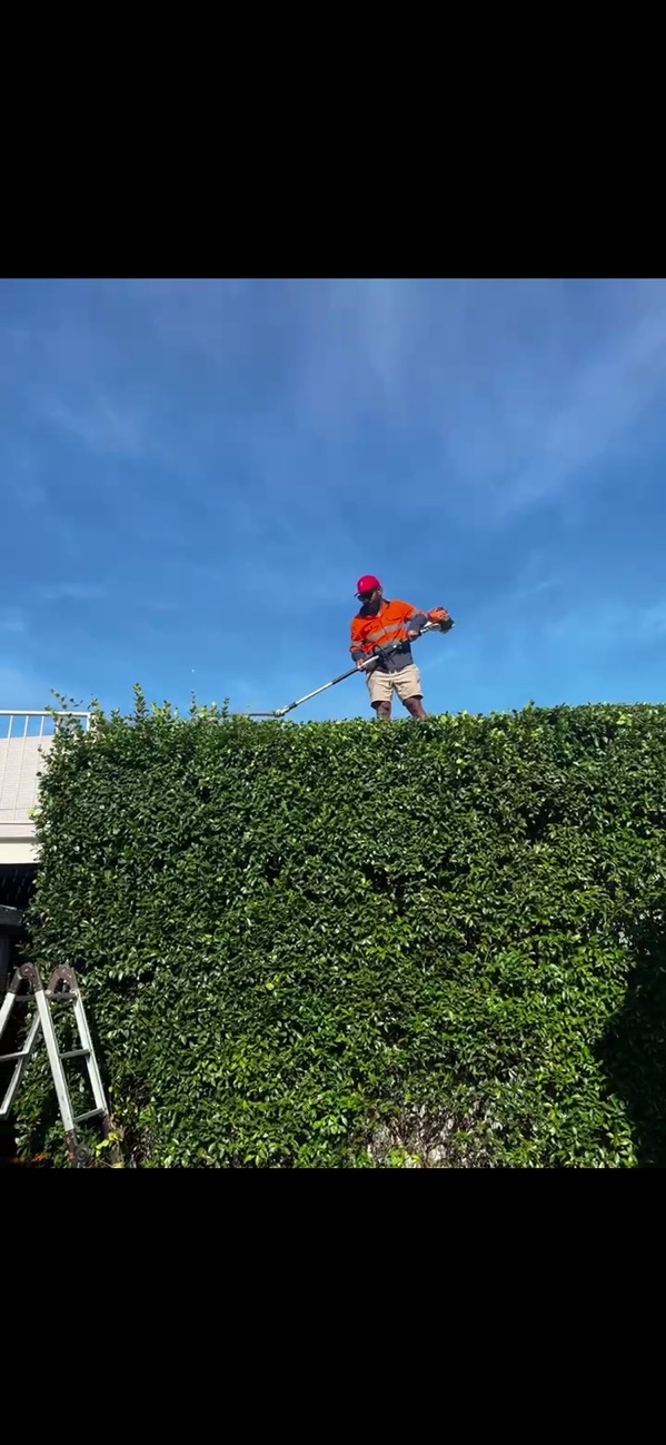 Bula Expert Gardening