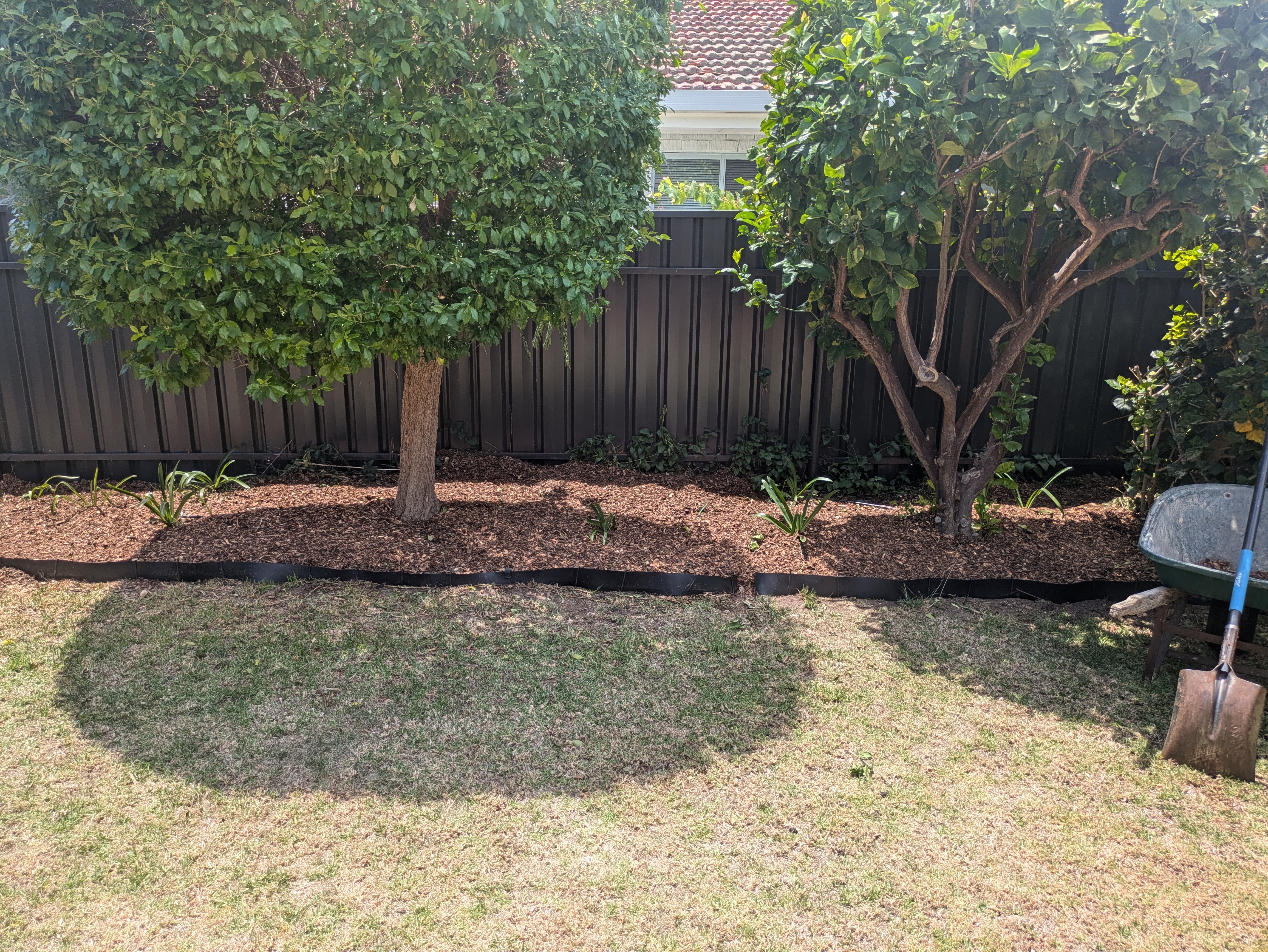Darrens Garden Maintenance