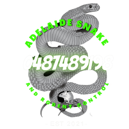Adelaide Snake & Rodent Control