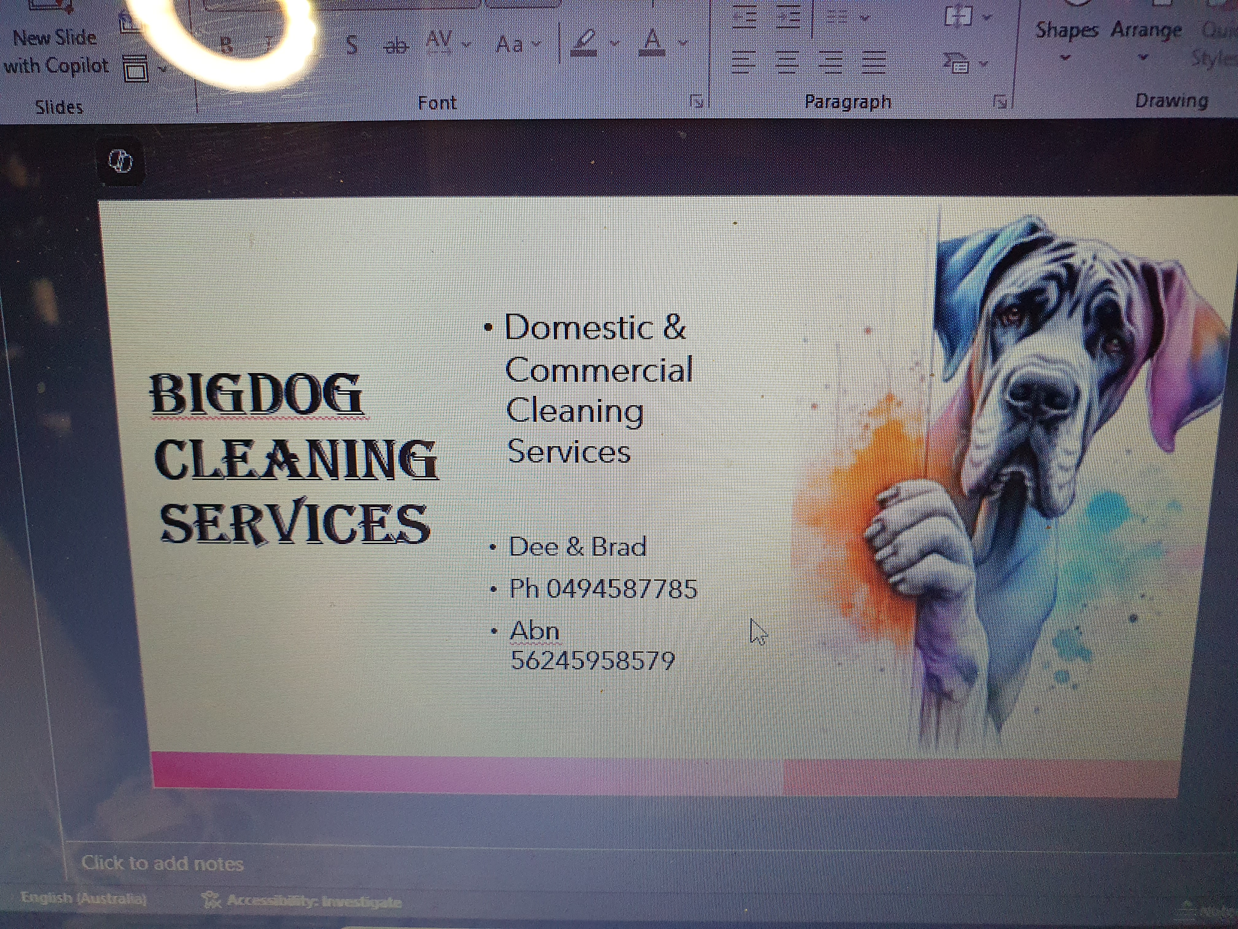 Bigdog Cleaning Services