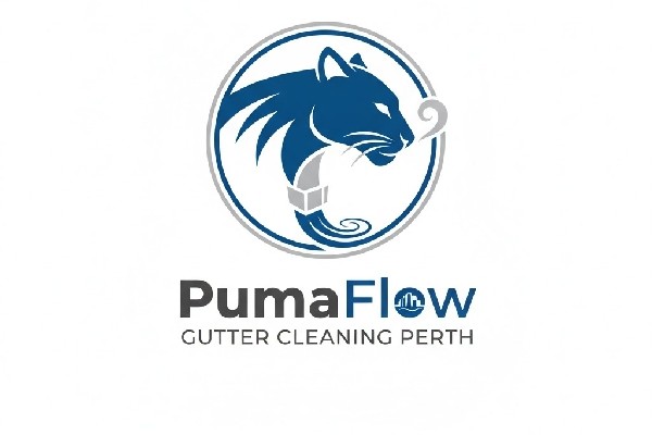 Gutter Cleaning Perth