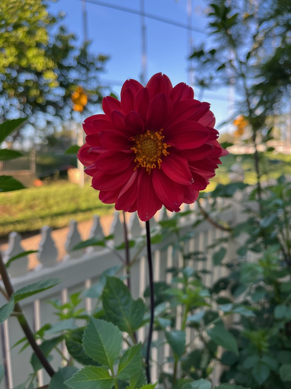 Threads Of Nostalgia